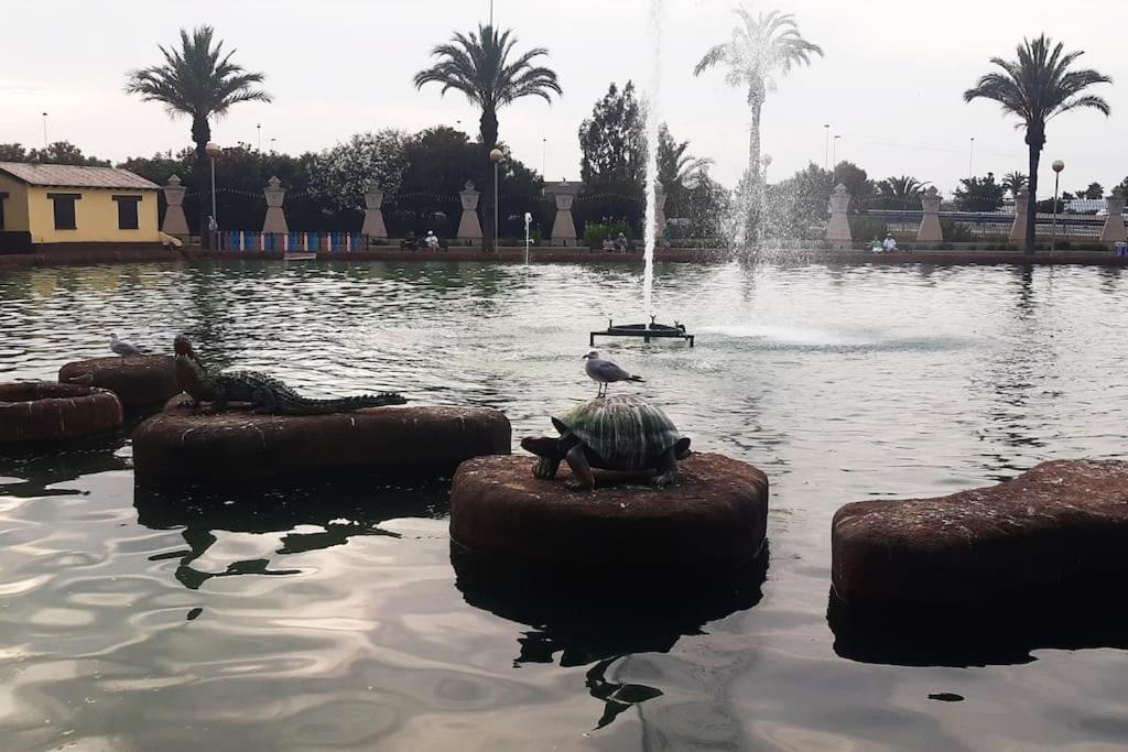 Adventure Harbour Appartement Torrevieja Buitenkant foto