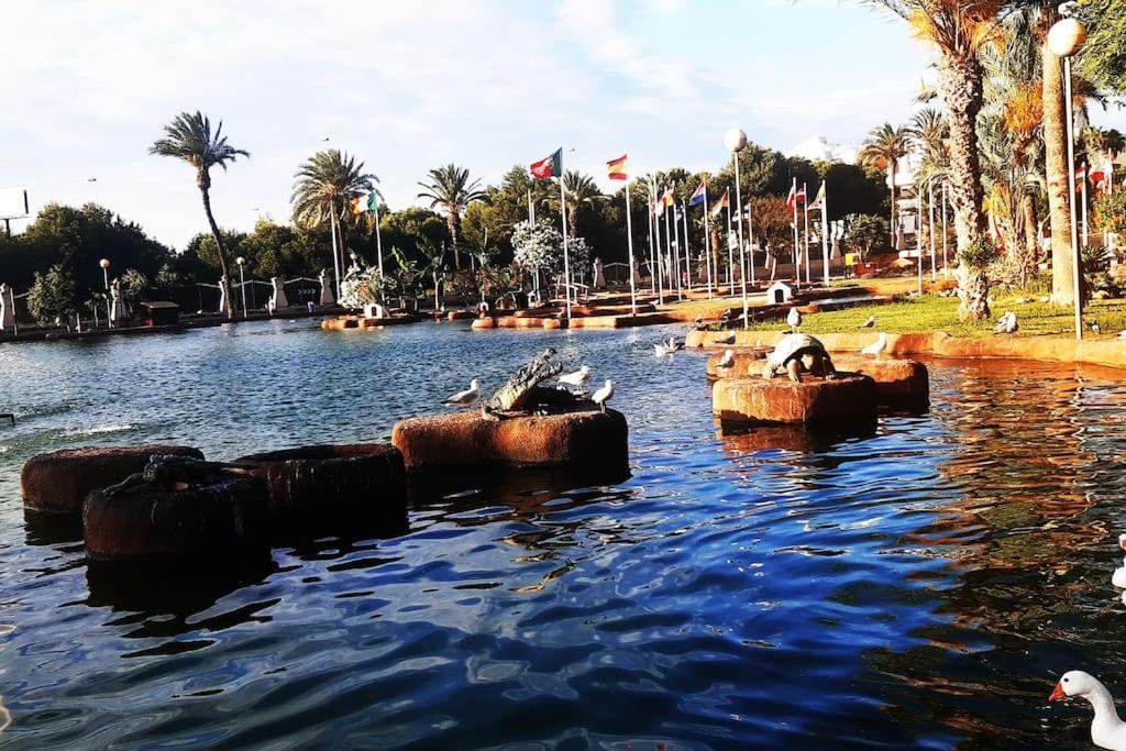 Adventure Harbour Appartement Torrevieja Buitenkant foto